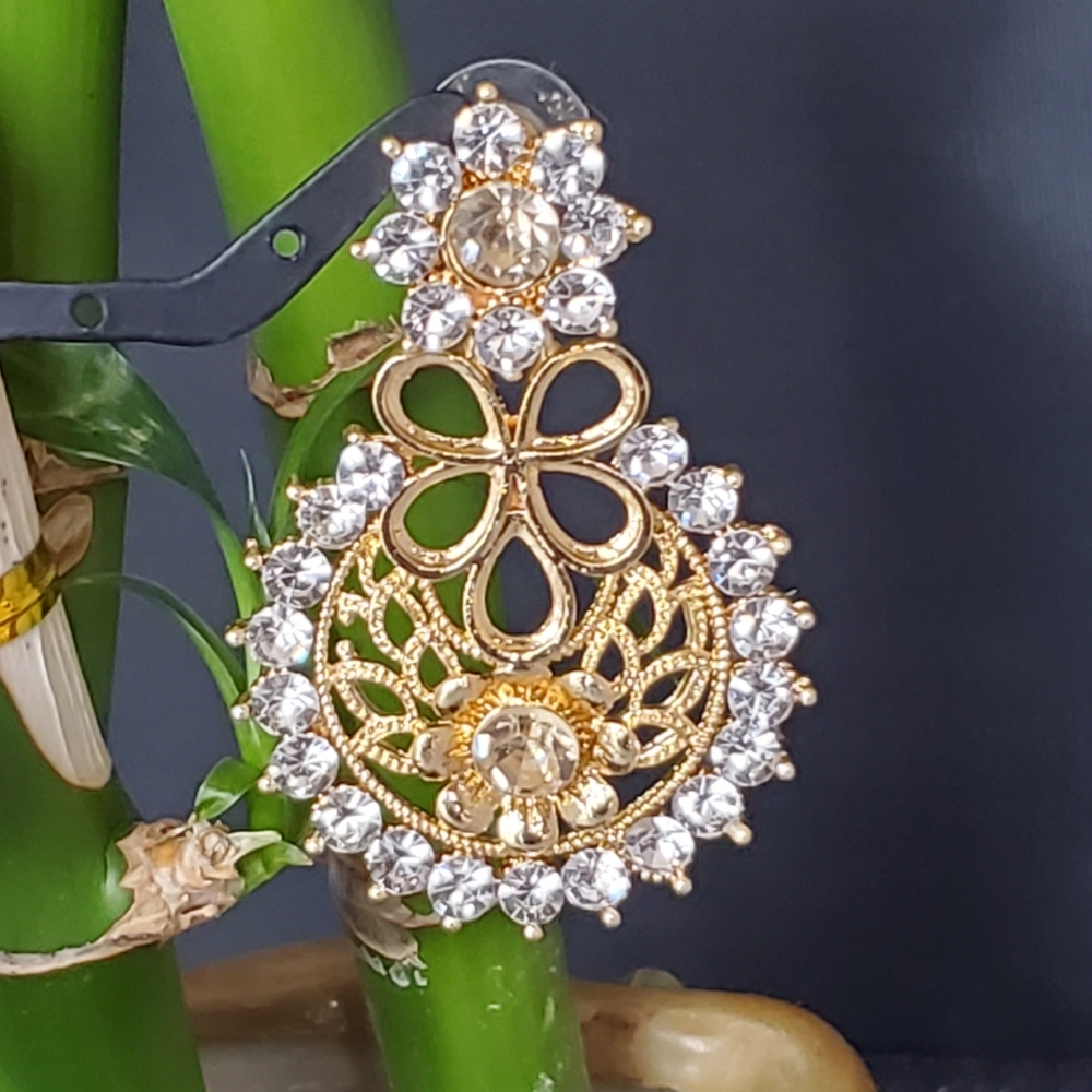 Fancy Earring - Picture 2 of 2